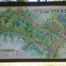 선암골 이미지