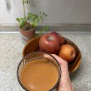 현진식품 해독주스 건강스무디 건강식단 루틴 5가지 맛의 개별 포장 클렌즈주스 추천