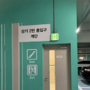 미쓰박 펫 살롱 이미지