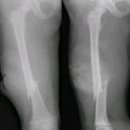 양주예쓰병원 이미지