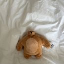 버스정류장 07-135 | 반챠오, 임가화원 그리고 딘타이펑🥟