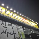 타이어판다 이미지