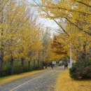 대전교도소부속의원 이미지