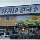유가네칼국수 이미지
