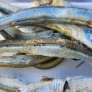 건어구이 이미지