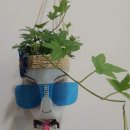 무등장애인자립생활센터 이미지