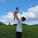 백배목장 | [제주여행] 제주 서쪽 돌 아기랑 가볼만한 곳 (#1-2 관광지편) 유아차, 수유실, 입장료 정보有