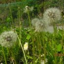 연세 화장실 이미지