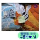 띵독 | 띵독 유기견 후원 유기견 센터 수건 기부 🪄◝✩