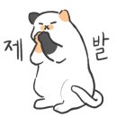 기아오토큐 명지점 이미지