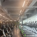 짐포레스트 이미지