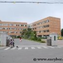 석림초등학교 이미지