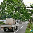 소여1리 이미지