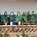 하주초등학교 이미지