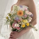 그리너리한 인기 토탈 스튜디오 보다연희재(보다스튜디오)웨딩 촬영 후기 웨딩촬영 간식준비물, 누브라