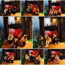 6세 친구들의 ＜주제체험학습 - 정관박물관＞, ＜생각 COOK 요리COOK - 미나리강회＞ - 꽃님, 풀잎, 들꽃 이미지