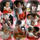 세영청과 이미지