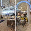 씨유 서초신사점 | 빽다방신메뉴 신사사거리점 내 돈 내산 애사비 효능