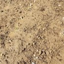 금파농장 이미지