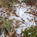 면목천로 어르신 쉼터 이미지