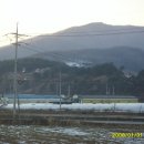 궁평농장 이미지