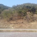 멘토링공인중개사사무소 이미지