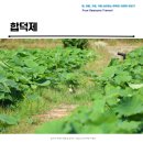 덕제 | 합덕제 연잎에서 느껴지는 그윽한 향기와 연꽃축제
