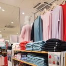 100 | 유니클로 캐시미어100 램스울 100 후기