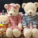 대전석봉초교+신탄진어린이집 이미지