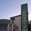 고령스테이포레스트 이미지