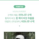 스킨365 이미지