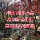 오이코스테이 | 평창 숙소 추천🔥 찜질방·바베큐 가능한 감성 독채 오이코스테이 후기