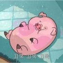 죽림 내죽도공원 이미지