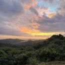 클래식(서쪽) | 제주 서쪽 숲 여행 로컬도 모르는 비밀 향기숲 투어 후기