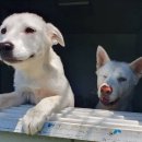 도솔쉼터 이미지