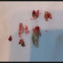 행담 동물병원 이미지