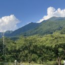 스테이화개 | 경남 하동 숙소 스테이화개 내돈내산 후기