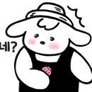 엑스엑스커피메이커 네이버블로그