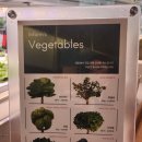 리브팜 압구정 이미지