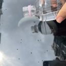 3m(쓰리엠)세차장 | 자동차 셀프 발수코팅 3m 발수코팅제 스프레이 내돈내산 솔직후기 (영상 있음)