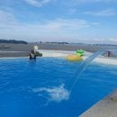 호호용담 이미지