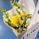 금천지 | 창원 성주동 꽃집 꽃천지에서 귀여운 노란 꽃다발 만들어 온 후기