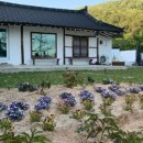 철이네 촌캉스 이미지