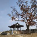 역사문화의 길 이미지