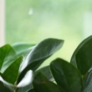 으라차차정형외과의원 이미지