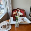 야탑서울동물병원 이미지