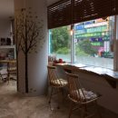 사랑의동물병원 이미지