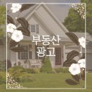 애드림즈 이미지