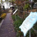 금왕(제천) 이미지