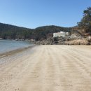 발포해수욕장 이미지